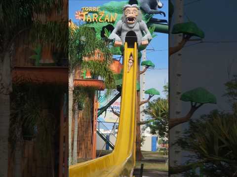 Yellow Kamikaze water slide at Marina Waterpark in Brazil #waterslides #waterpark #kamikaze