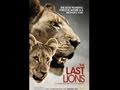 The Last Lions: A Journey of Survival