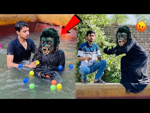 Gorilla Ko Swimming Pool Main Dal Diya ?