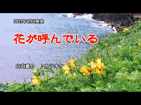 『花が呼んでいる』山内惠介　カラオケ　2021年6月16日発売