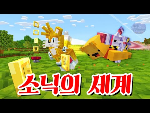 소닉 캐릭터로 변신해서 엔더드래곤 잡기 -캐릭온 마크 애니