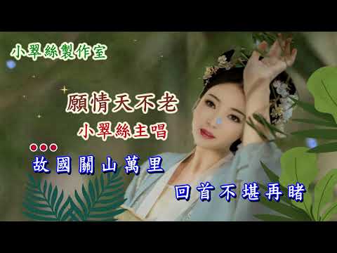 願情天不老 – 小翠絲主唱〈無線電視劇 – 帝女花 – 插曲 – 原唱 : 汪明荃〉