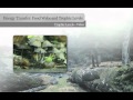 Ecosystem Roles and Food Chains