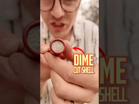 These Are Dime - Cut Shells!