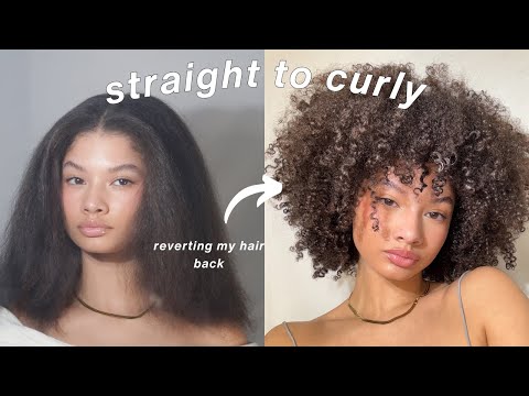 Reverting Straight Hair back to Curly | Natural Hair Routine