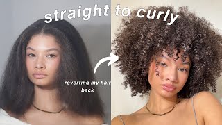 Reverting Straight Hair back to Curly | Natural Hair Routine
