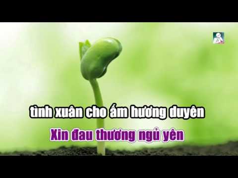 Karaoke Chuyện Ngày Cuối Năm-Trường Vũ[ Beat Chuẩn ]