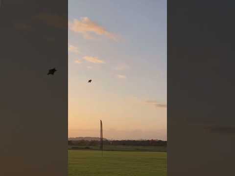 Going to die. The craziest BASE jump ever | Skydive PRO #basejumping