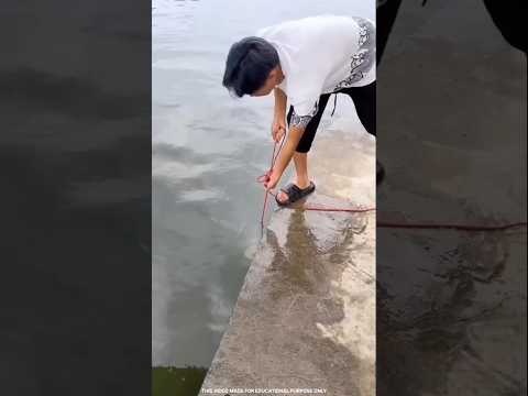 World's Strongest Magnet #shortvideo