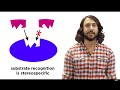 Understanding Enzymes