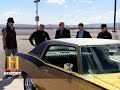 Car Features and Reactions Analysis