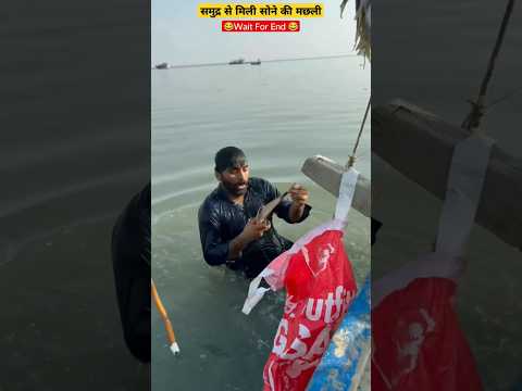 समुद्र से मिली सोने की मछली gold fish found in the sea #shorts #youtubeshort #foryou #themttube