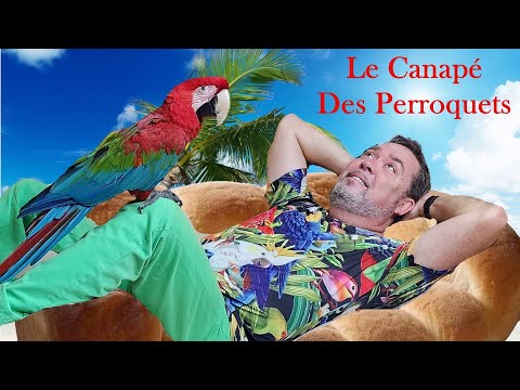 le canapé des perroquets.