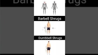 Best Back Workout at Gym #shorts