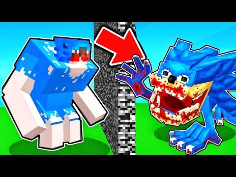 Nacho Mutante VS Shin Sonic (Batalla de Mobs en Minecraft)