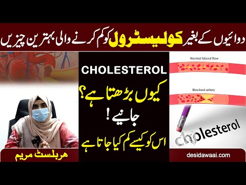 Cholesterol Ka Ilaj | Cholesterol Ka Desi Ilaj | Cholesterol Ka Gharelu Ilaaj | Desi Dawaai New 2024