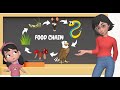 Food Chain and Ecosystem Roles