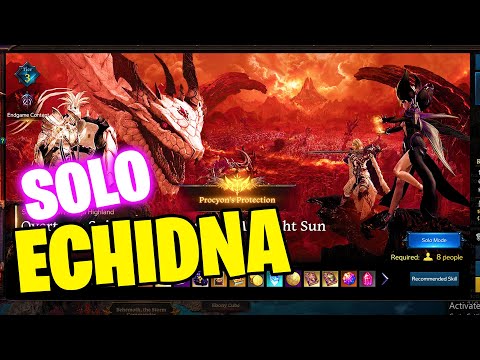 LOST ARK Echidna SOLO RAID Mechanics Guide G1-G3 - [Solo Mode Lost Ark]