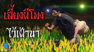 เลี้ยงผีโพงไว้เฝ้านา | เรื่องเล่าผี