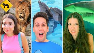 3 STORIE DIVERTENTI CON GLI ANIMALI DEI ME CONTRO TE