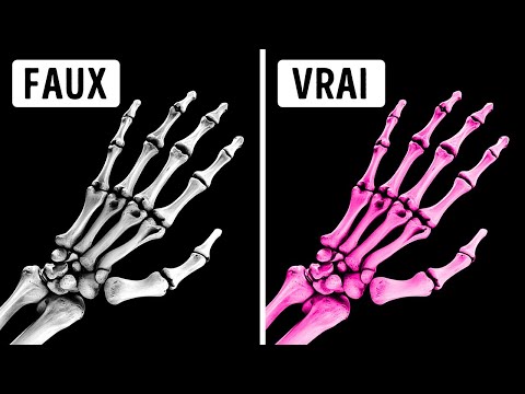 Des faits stupéfiants sur le corps que vous ne croirez jamais sans preuve