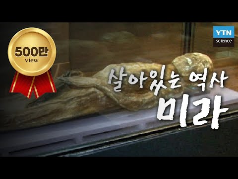 조상의 선물, 우리나라의 살아있는 역사 ‘미라’ / YTN 사이언스