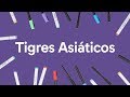 Tigres Asiáticos e seu Desenvolvimento Econômico