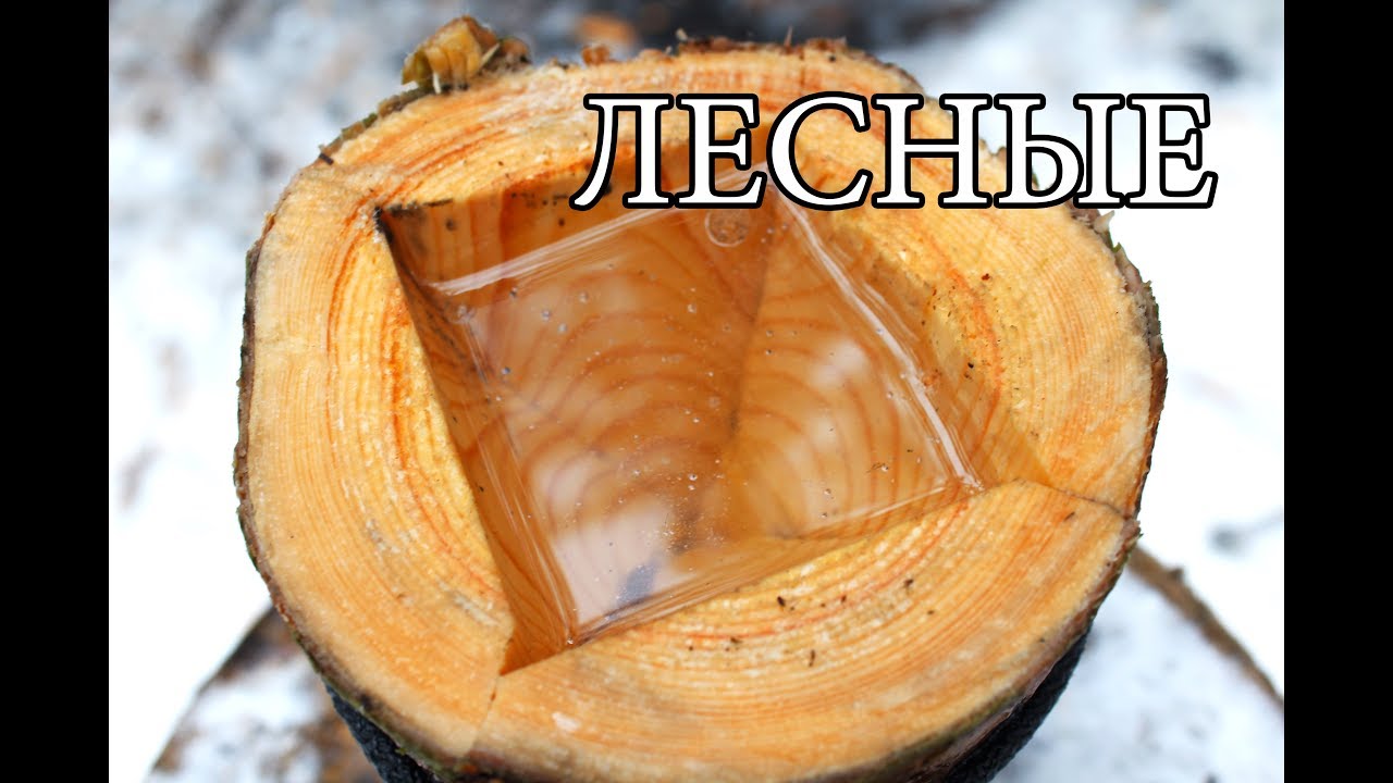 #3 7 простых советов для леса 7 bushcraft tips