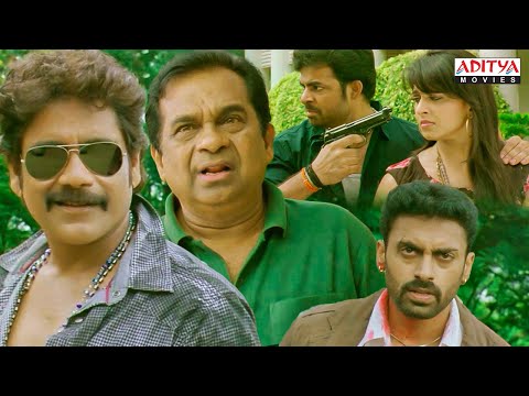 Ragada Blockbuster Hindi Movie Scenes | Nagarjuna, Anushka | Brahmanandam | Priyamani |Aditya Movies