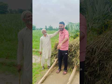 Dunia paisy pichy pajdi #miandildar611