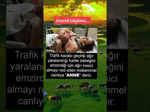 ANALARIN HAKKI ÖDENİR Mİ?