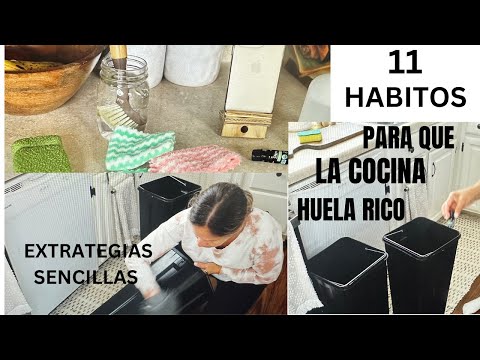 COMO HACER QUE TU COCINA HUELA SIEMPRE RICO Y NATURAL /EXTRATEGIAS SENCILLAS