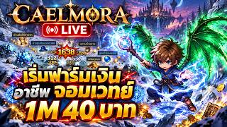 [LIVE] Caelmora ฟาร์มเงินทำของกันต่อ 1M 40 บาท