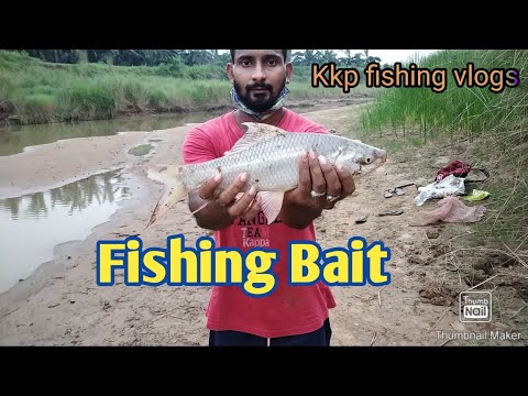 fishing bait | చేపలు పట్టేదానికి మేత ఎలా కలపాలి |  feeder fishing bait carp fishing alltimework bait