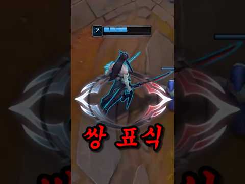 쌍 표식 버그