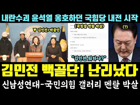 [긴급] 김민전 '백골단' 난리났다!! 신남성연대-국민의힘 갤러리 멘탈 박살 (내란수괴 윤석열 옹호하던 국힘당 내전 시작)