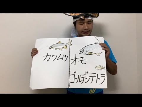 魚の名前でウィーアー！【ワンピース 100巻記念】#shorts