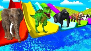5 Giant Duck, Monkey, Lion, chicken, elephant, dairy cow, Transfiguration funny animal 2023