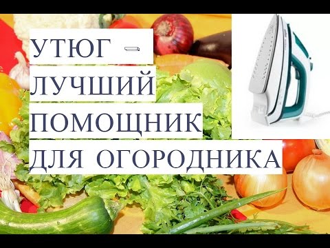Утюг - Лучший Помощник для Огородника Чтобы Огород Был в Радость