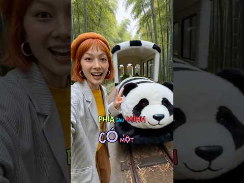 Chuyến tàu gấu trúc🐼 #shortsvideo