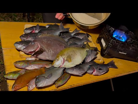 ルール:釣れた魚は全て海鮮丼にぶっこむ