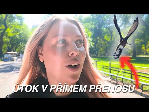 ÚTOK V PŘÍMEM PŘENOSU | NYC Diaries