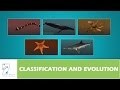 Evolution and Organism Classification