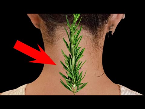 ICH BIN SCHOCK! Der Schmerz war in 2 Stunden weg! Rosmarin wirkt wahre Wunder!