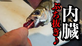 【めんどくさいけど絶品】大きめのアジが釣れたらやってほしい料理