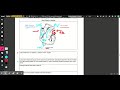 Heart Anatomy and Function Concepts