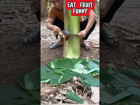 Ảo Thuật Miền Quê | Ăn Trái Thốt Nốt Tại Vườn Nhà Hài Hước | Eat Fruit Magic Funny #buah #shorts