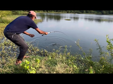 Amazing indian  lake Fishing | singal hook Fishing tips | flote  moment on water