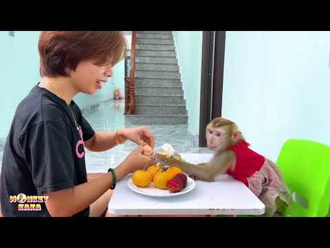 Mom feeds fruit to Monkey Kaka, it looks delicious.
