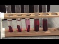 Beetroot Cell Membrane Experiment
